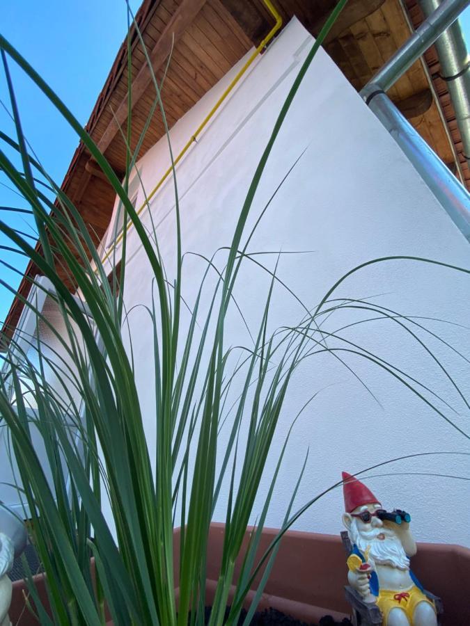 シビウCasa Teiアパートメント エクステリア 写真