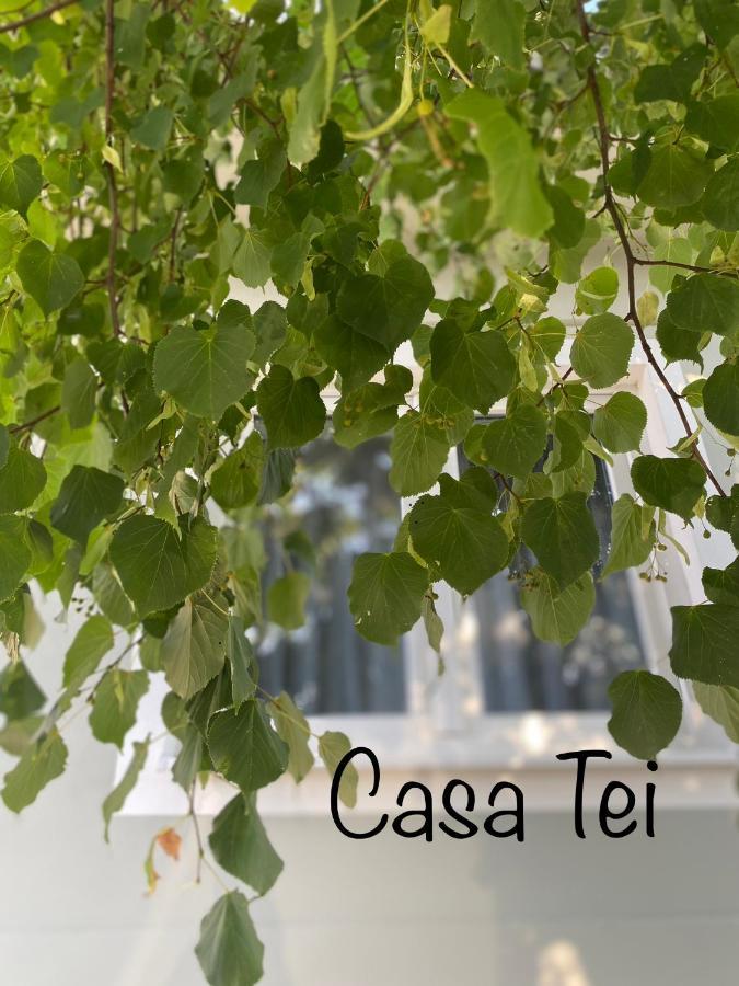 シビウCasa Teiアパートメント エクステリア 写真